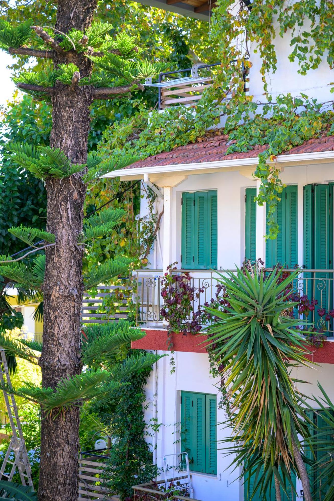 Ionian Paradise Nydri (Lefkada) Exterior foto